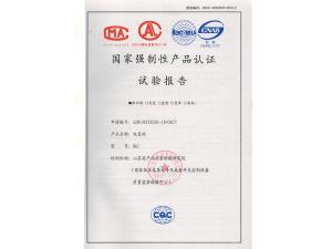 GGD aluminum cabinet inspection report