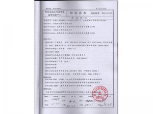 Inspection Report