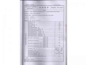 Inspection Report