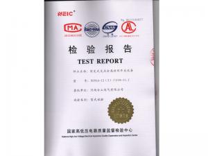 Inspection Report