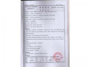 Inspection Report