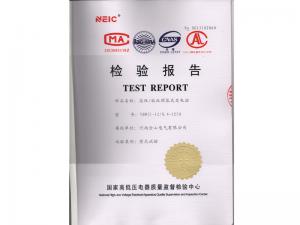 Inspection Report