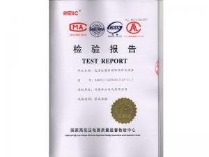 Inspection Report