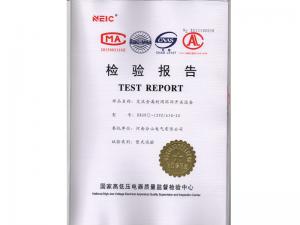 Inspection Report